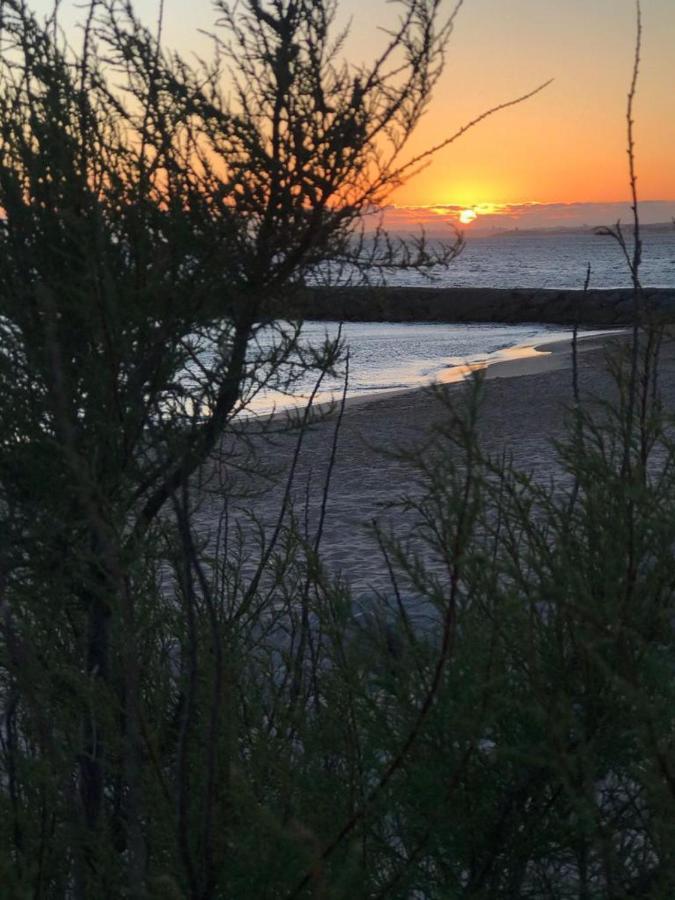 T2 Com Uma Vista Deslumbrante Sobre O Atlantico! Daire Costa da Caparica Dış mekan fotoğraf