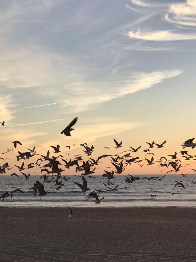 T2 Com Uma Vista Deslumbrante Sobre O Atlantico! Daire Costa da Caparica Dış mekan fotoğraf